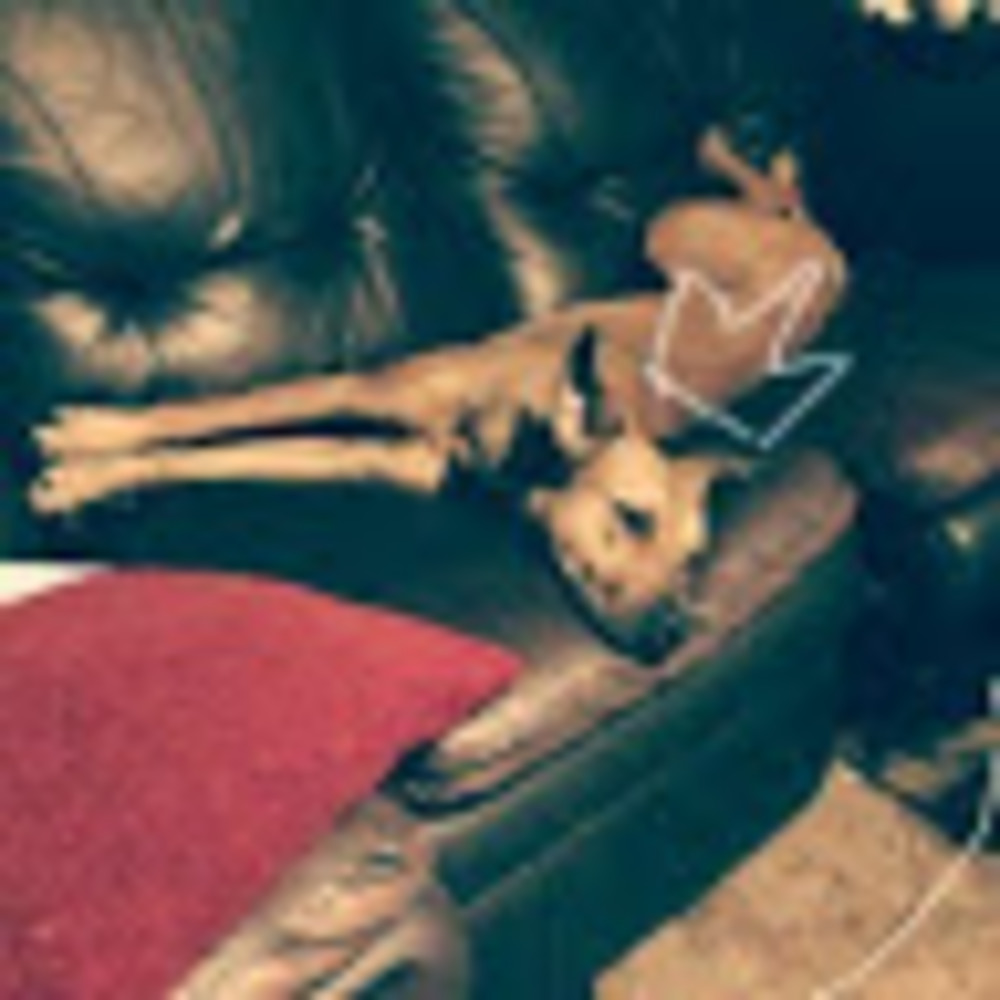 Meet your Posher, Anastasia